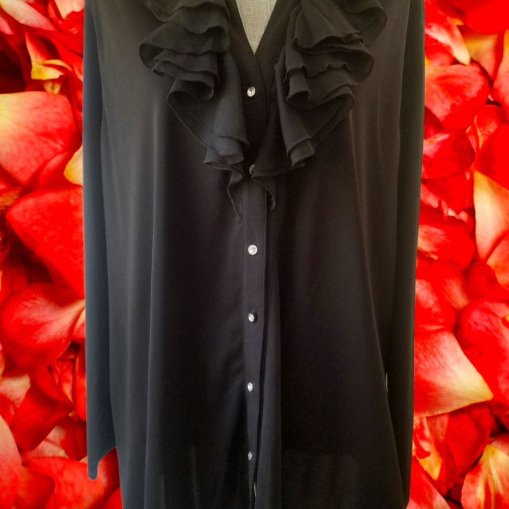 Long Sleeved Woman's Blouse